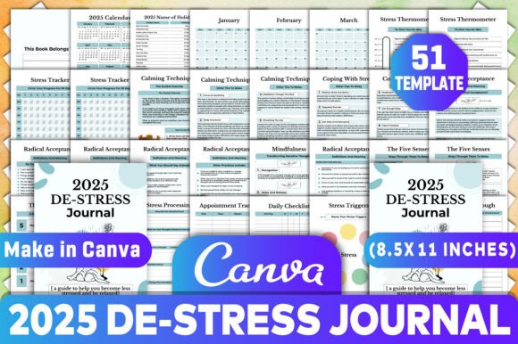 2025 DE-Stress Journal